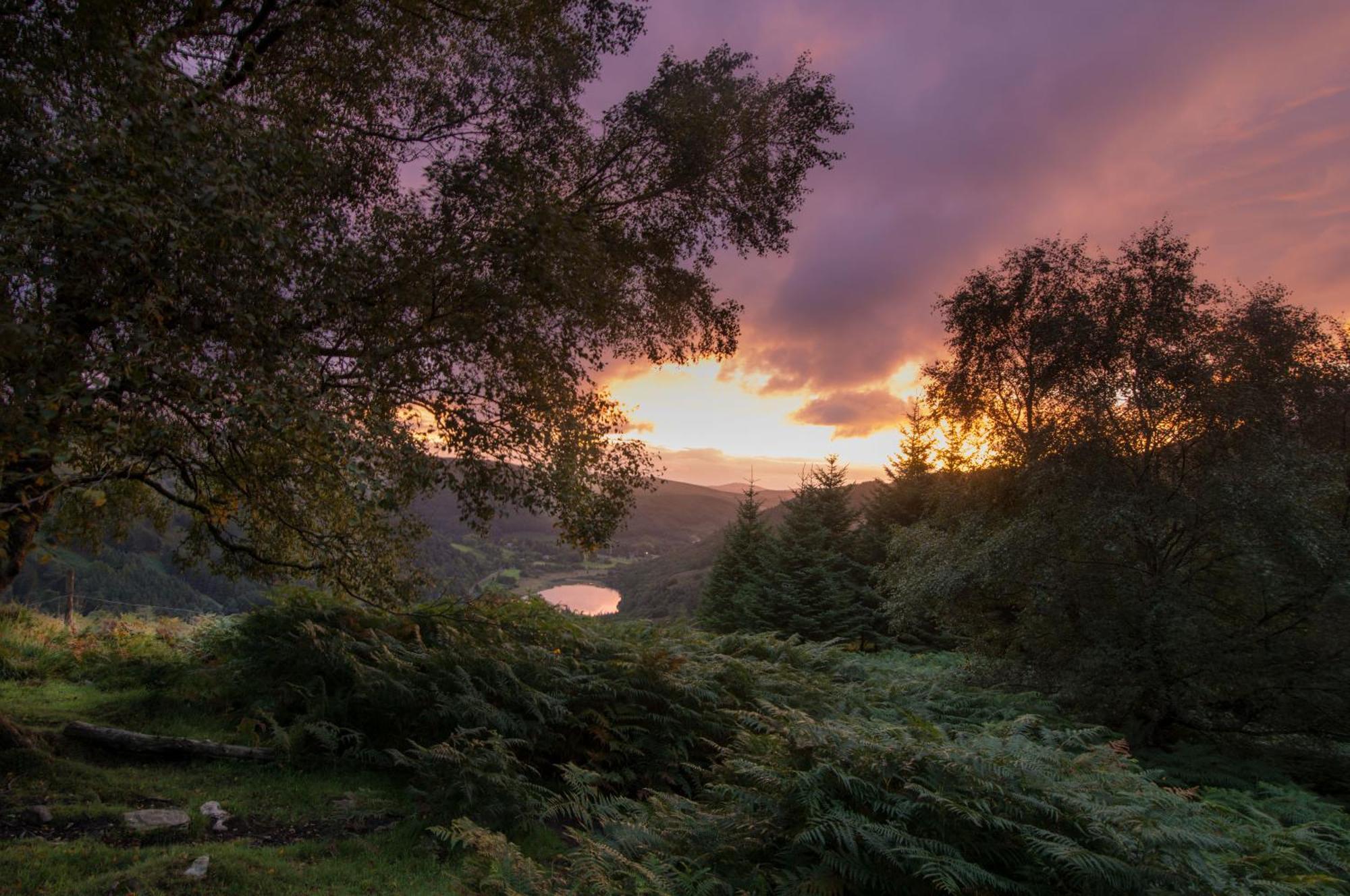 Glendalough International Youth Hostel Laragh Εξωτερικό φωτογραφία